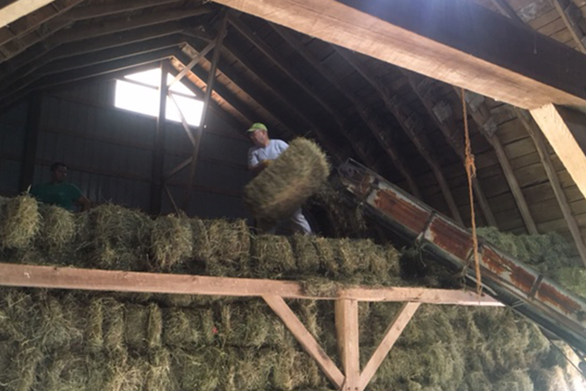 Bob putting up hay in Churchville